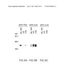 DNA DAMAGING AGENTS IN COMBINATION WITH TYROSINE KINASE INHIBITORS diagram and image