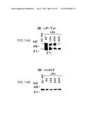 DNA DAMAGING AGENTS IN COMBINATION WITH TYROSINE KINASE INHIBITORS diagram and image