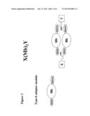 Methods and Compositions for Generating Bioactive Assemblies of Increased     Complexity and Uses diagram and image