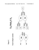 Methods and Compositions for Generating Bioactive Assemblies of Increased     Complexity and Uses diagram and image