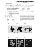 BIOCOMPARTIPLE CONFEITO-LIKE GOLD NANOPARTICLES, METHOD FOR MAKING THE     SAME, AND THEIR BIOMEDICAL APPLICATIONS diagram and image