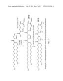 LIPIDS, LIPID COMPLEXES AND USE THEREOF diagram and image