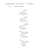 4-[17BETA-METHOXY-17ALPHA-METHOXYMETHYL-3-OXOESTRA-4,9-DIEN-11-BETA-YL]BEN-    ZALDEHYDE (E)-OXIME (ASOPRISNIL) diagram and image