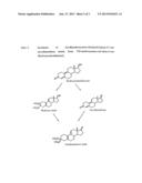 4-[17BETA-METHOXY-17ALPHA-METHOXYMETHYL-3-OXOESTRA-4,9-DIEN-11-BETA-YL]BEN-    ZALDEHYDE (E)-OXIME (ASOPRISNIL) diagram and image