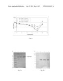 USE OF G-CSF DIMER IN THE TREATMENT OF NEUTROPENIA diagram and image