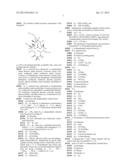 6,11-BRIDGED BIARYL MACROLIDES diagram and image