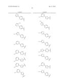 6,11-BRIDGED BIARYL MACROLIDES diagram and image