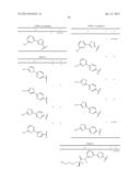 6,11-BRIDGED BIARYL MACROLIDES diagram and image