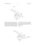 6,11-BRIDGED BIARYL MACROLIDES diagram and image