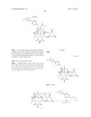 6,11-BRIDGED BIARYL MACROLIDES diagram and image