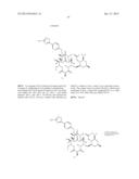 6,11-BRIDGED BIARYL MACROLIDES diagram and image