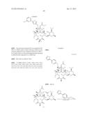 6,11-BRIDGED BIARYL MACROLIDES diagram and image