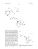 6,11-BRIDGED BIARYL MACROLIDES diagram and image