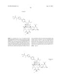 6,11-BRIDGED BIARYL MACROLIDES diagram and image