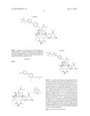 6,11-BRIDGED BIARYL MACROLIDES diagram and image