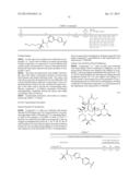 6,11-BRIDGED BIARYL MACROLIDES diagram and image