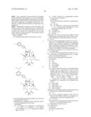 6,11-BRIDGED BIARYL MACROLIDES diagram and image