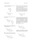 STEREOSELECTIVE TOTAL SYNTHESIS OF NORIBOGAINE diagram and image