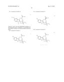 STEREOSELECTIVE TOTAL SYNTHESIS OF NORIBOGAINE diagram and image