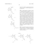 FUSED BICYCLIC mTOR INHIBITORS diagram and image