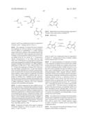 FUSED BICYCLIC mTOR INHIBITORS diagram and image