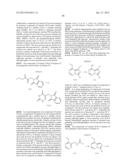 FUSED BICYCLIC mTOR INHIBITORS diagram and image