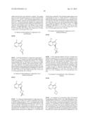 FUSED BICYCLIC mTOR INHIBITORS diagram and image