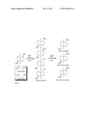 PROCESS FOR THE DIRECT AMINATION OF SECONDARY ALCOHOLS WITH AMMONIA TO     GIVE PRIMARY AMINES diagram and image