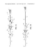 Analyte Sensor diagram and image