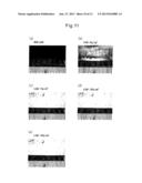 NONWOVEN FABRIC, METHOD FOR PRODUCING IT, AND ABSORBENT ARTICLE diagram and image