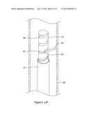 NERVE MODULATION SYSTEM HAVING HELICAL GUIDE diagram and image