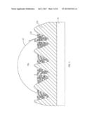 BIOLOGICAL DETECTION DEVICE AND DETECTING METHOD diagram and image