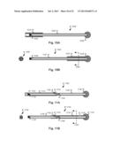 Device for Capsule Retrieval diagram and image