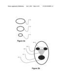 Detecting Orientation of Digital Images Using Face Detection Information diagram and image