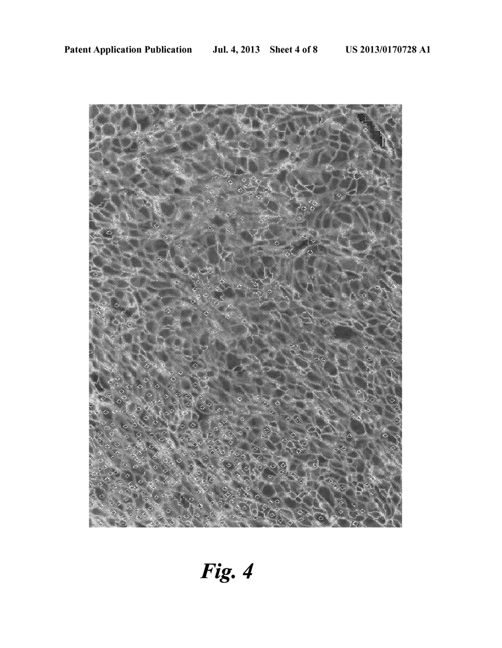 PROCESS AND SYSTEM FOR ANALYZING THE EXPRESSION OF BIOMARKERS IN A CELL - diagram, schematic, and image 05