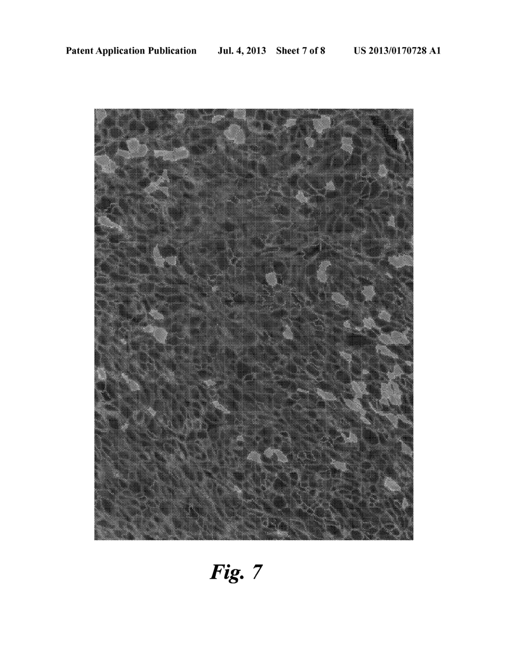 PROCESS AND SYSTEM FOR ANALYZING THE EXPRESSION OF BIOMARKERS IN A CELL - diagram, schematic, and image 08