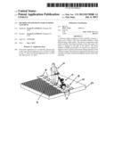 METHOD AND APPARATUS FOR STAMPING CONCRETE diagram and image