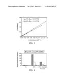 ANTI-HUMAN TRANSFERRIN RECEPTOR ANTIBODY AND USES THEREOF diagram and image