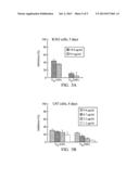 ANTI-HUMAN TRANSFERRIN RECEPTOR ANTIBODY AND USES THEREOF diagram and image