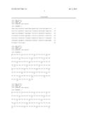 ANTI-HUMAN TRANSFERRIN RECEPTOR ANTIBODY AND USES THEREOF diagram and image