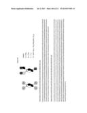 Method for Purifying Antibodies diagram and image