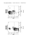 COMPOSITIONS AND METHODS FOR DIFFERENTIATING PLURIPOTENT STEM CELLS INTO     PRIMITIVE BLOOD CELLS AND USES THEREOF diagram and image