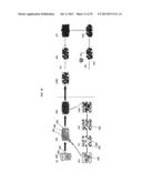 METHOD OF MANUFACTURING A SCAFFOLD FOR TISSUE ENGINEERING OR REPAIR diagram and image