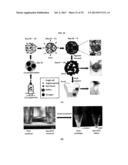 METHOD OF MANUFACTURING A SCAFFOLD FOR TISSUE ENGINEERING OR REPAIR diagram and image