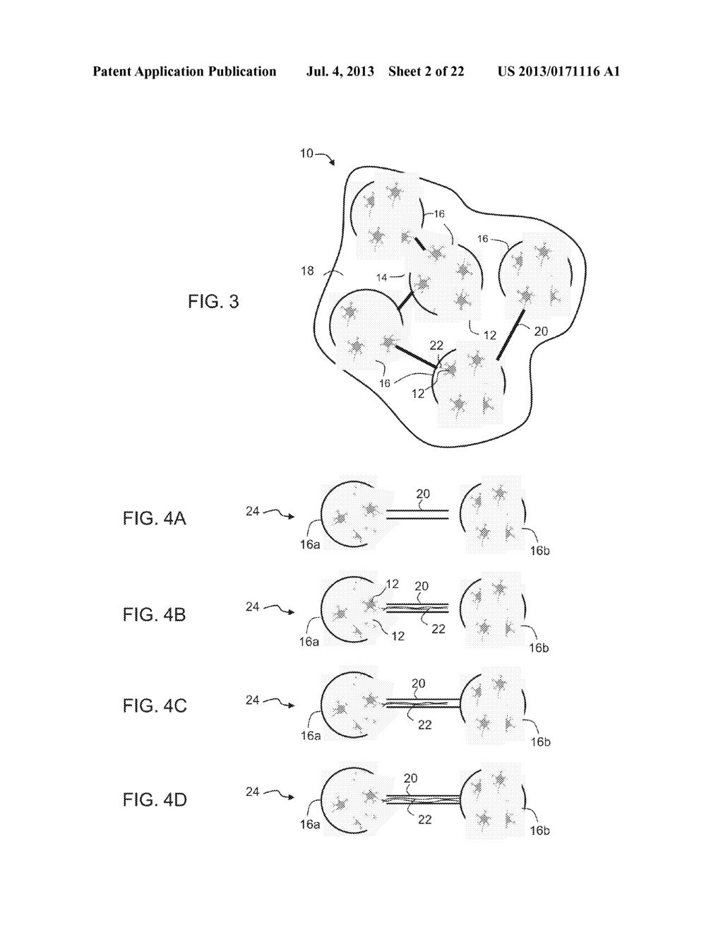 OPTICALLY SENSITIVE CELL NETWORK - diagram, schematic, and image 03