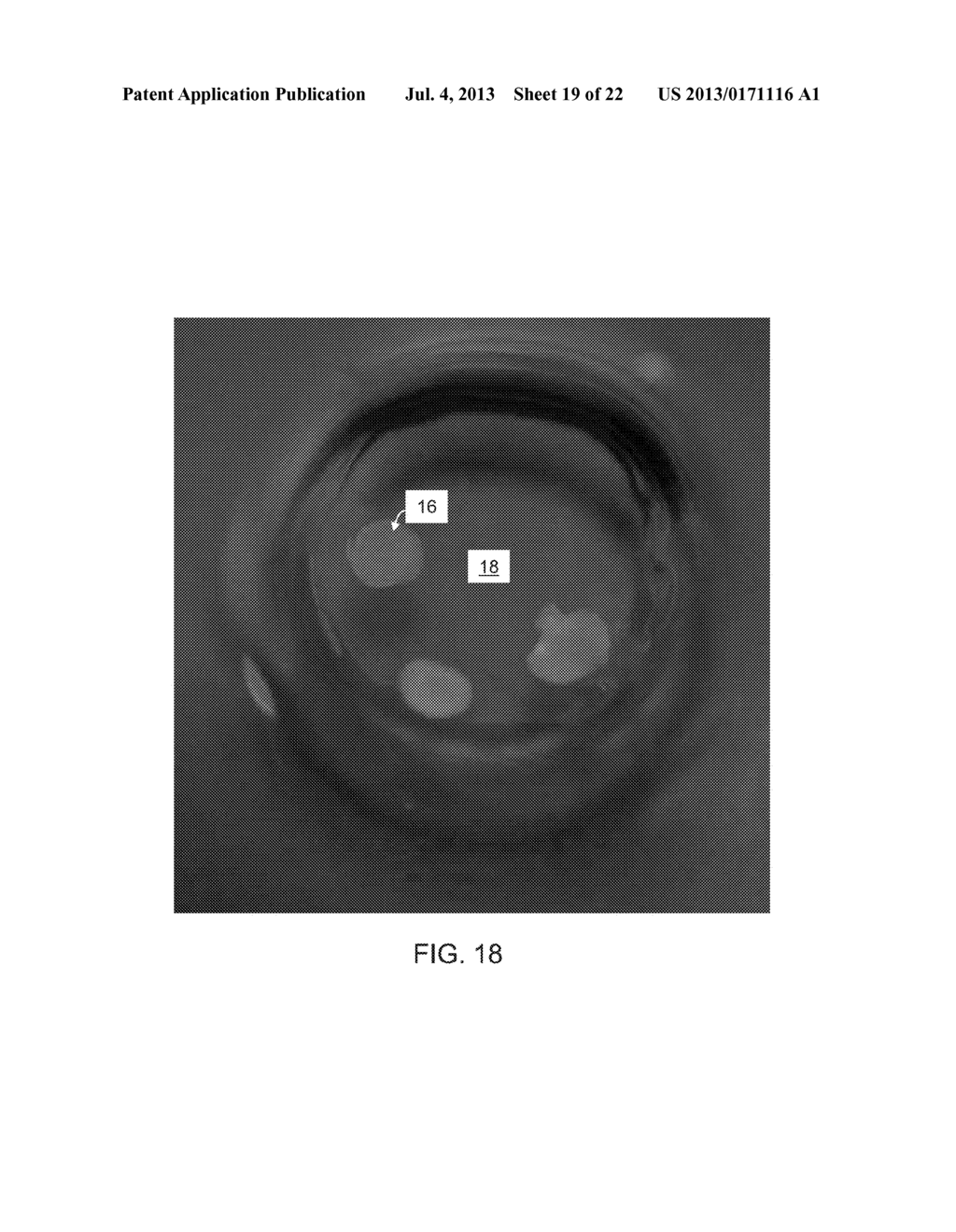 OPTICALLY SENSITIVE CELL NETWORK - diagram, schematic, and image 20