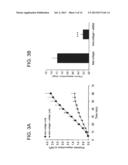 ANTI-FACTOR XI MONOCLONAL ANTIBODIES AND METHODS OF USE THEREOF diagram and image