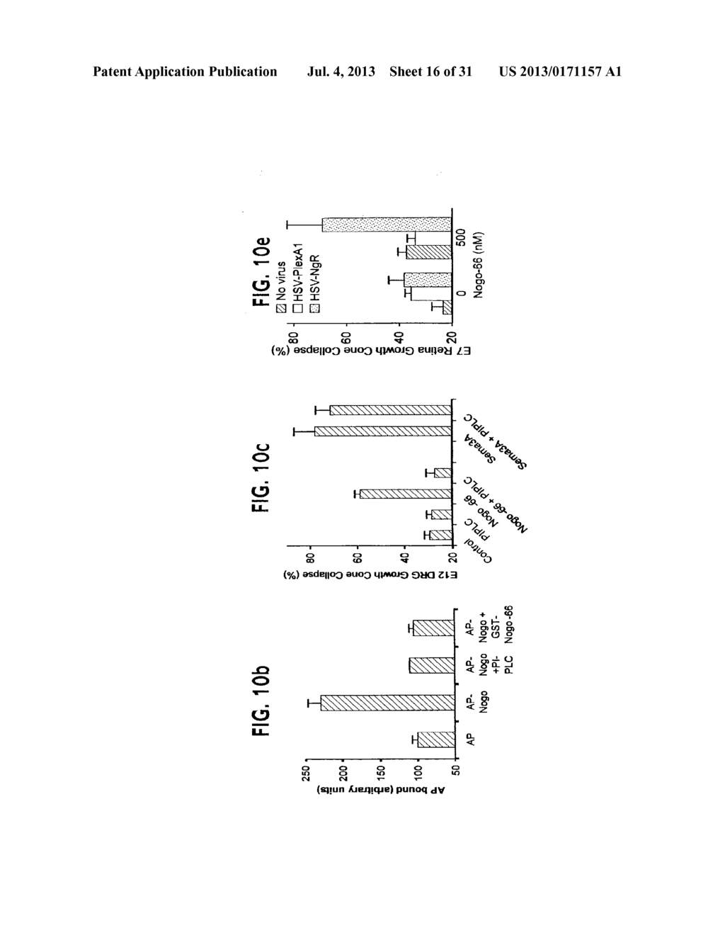 NOGO Receptor-Mediated Blockade of Axonal Growth - diagram, schematic, and image 17