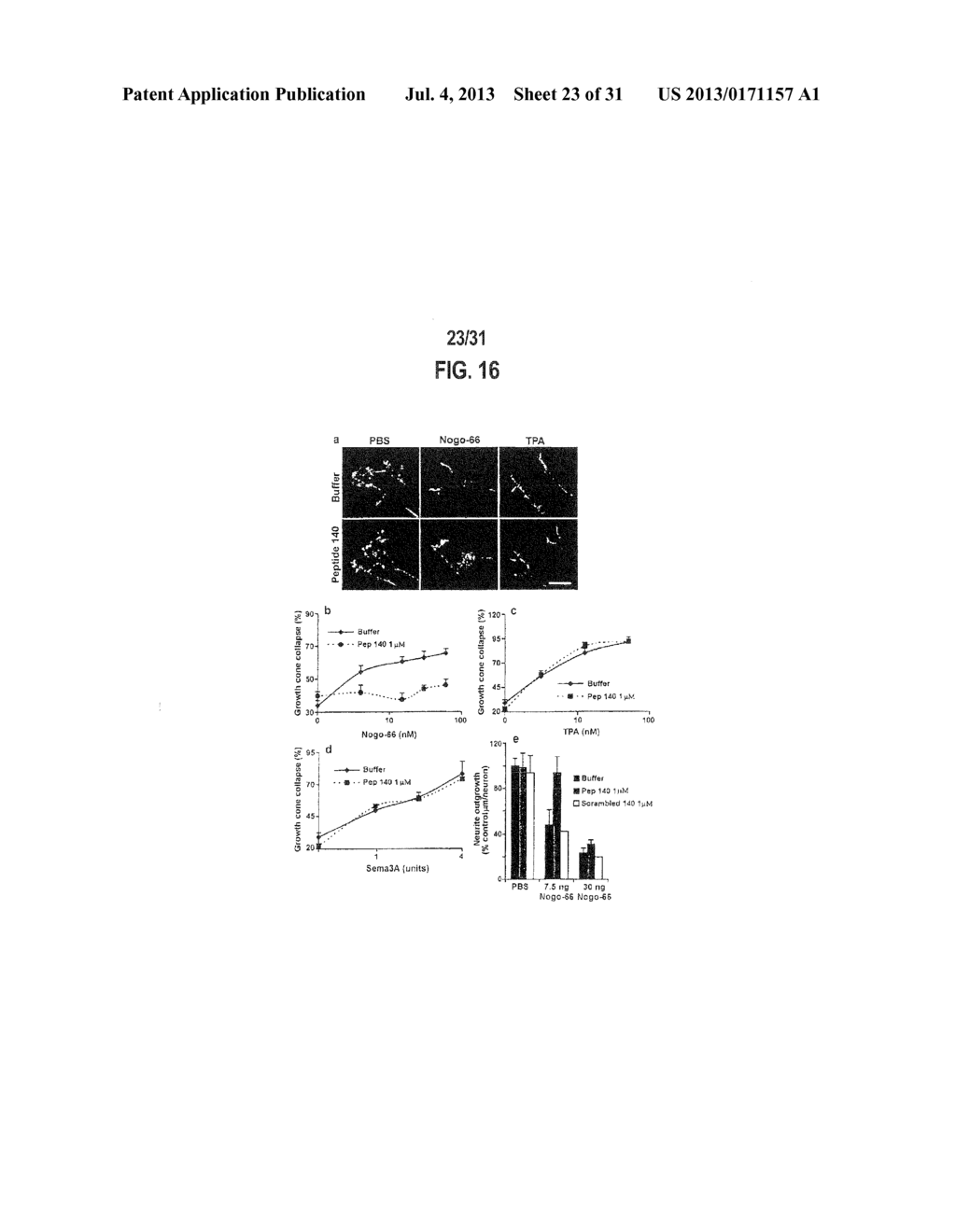 NOGO Receptor-Mediated Blockade of Axonal Growth - diagram, schematic, and image 24