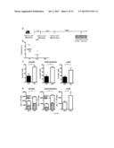 LENTIVIRAL VECTOR BASED IMMUNOLOGICAL COMPOUNDS AGAINST MALARIA diagram and image